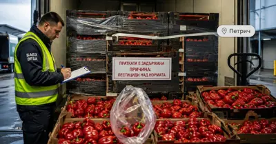Инспектор проверява касетки с чушки в хладилно помещение