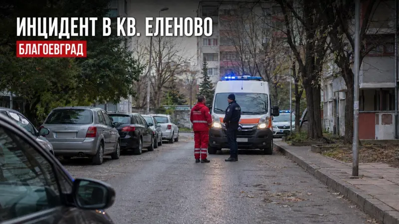 Автомобил се заби в заведение в благоевградския квартал „Еленово“