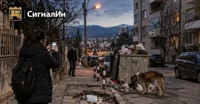 КАКВО ВСЪЩНОСТ ТРЕВОЖИ БЛАГОЕВГРАД? PredelNews анализира 72 граждански сигнала – резултатът е показателен