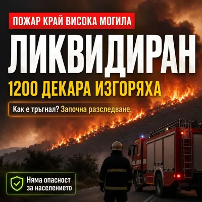 Пожарникари на терен след потушаване на голям горски пожар край село Висока могила.